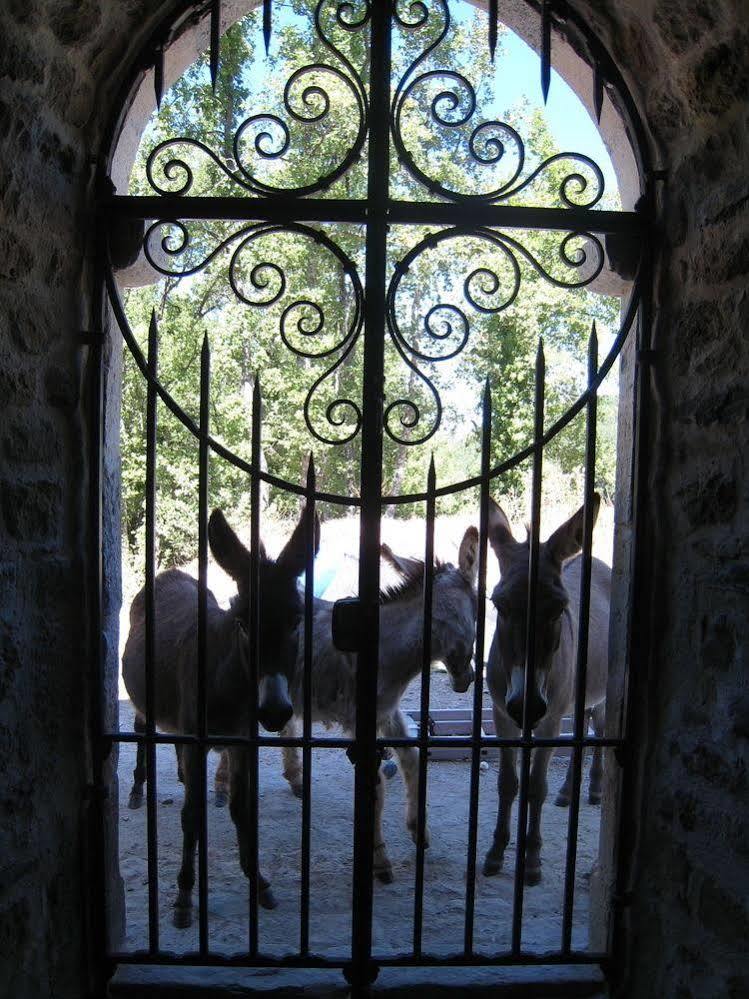 Une Campagne En Provence Bras Bagian luar foto